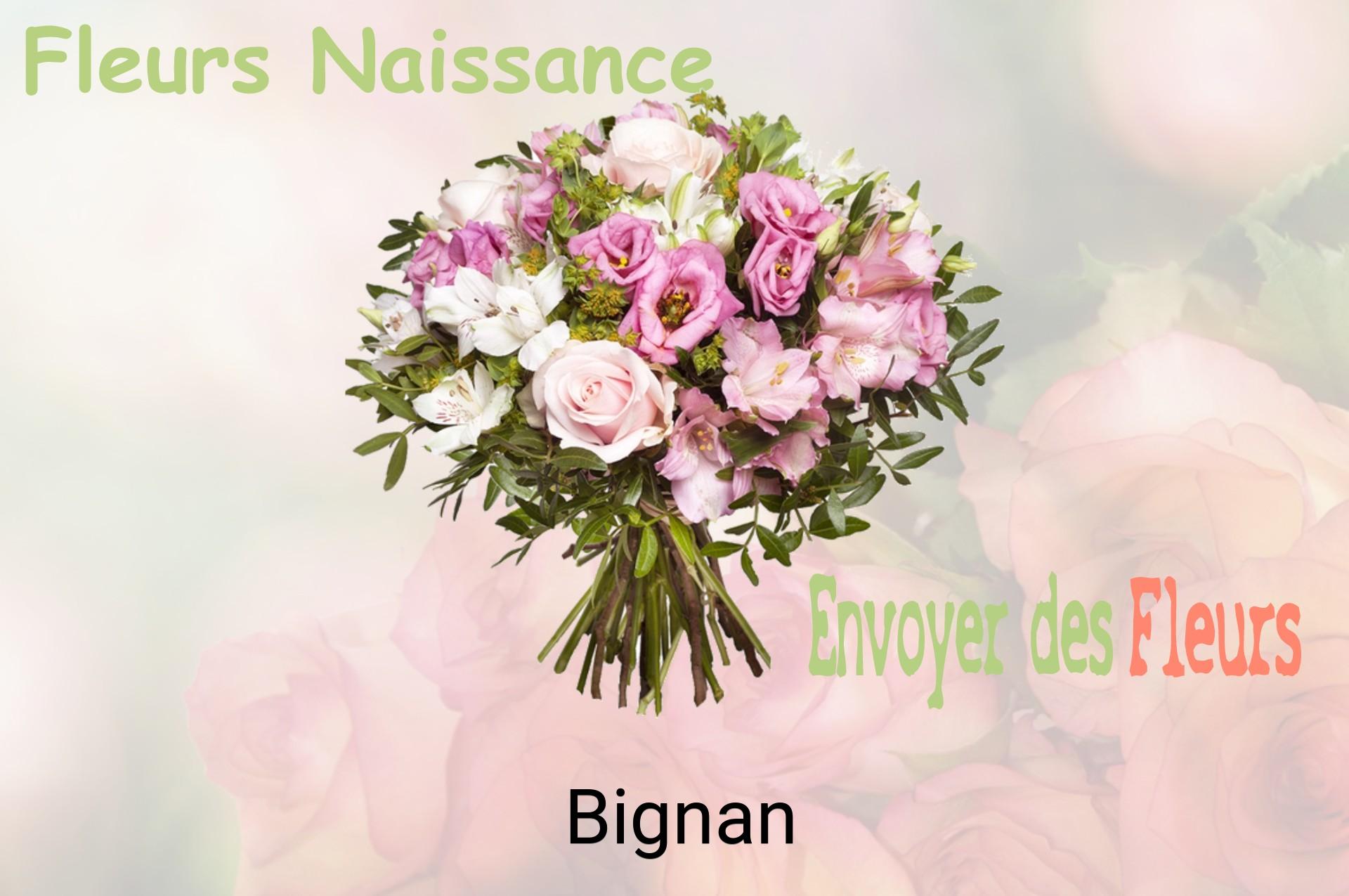 Bouquet de fleurs de naissance livré à Bignan